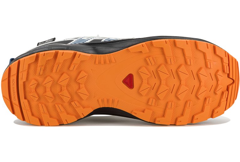 Salomon XA PRO V8 WP