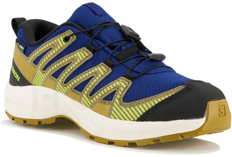 Salomon XA PRO V8 WP