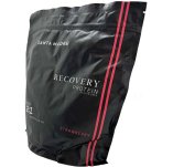 SANTAMADRE Bevanda Recovery Fragola