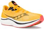 Saucony Endorphin Pro 2