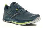 Saucony Peregrine 10