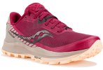 Saucony Peregrine 11