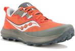 Saucony Peregrine 14
