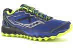 Saucony Peregrine 6