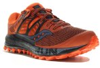 Saucony Peregrine ISO