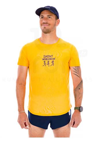 Saysky Statement Flow 