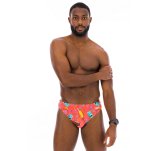 Speedo Beachstar