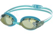 Speedo Vanquisher 3.0 Mirrored 