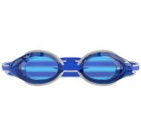 Speedo Vanquisher 3.0 Mirrored