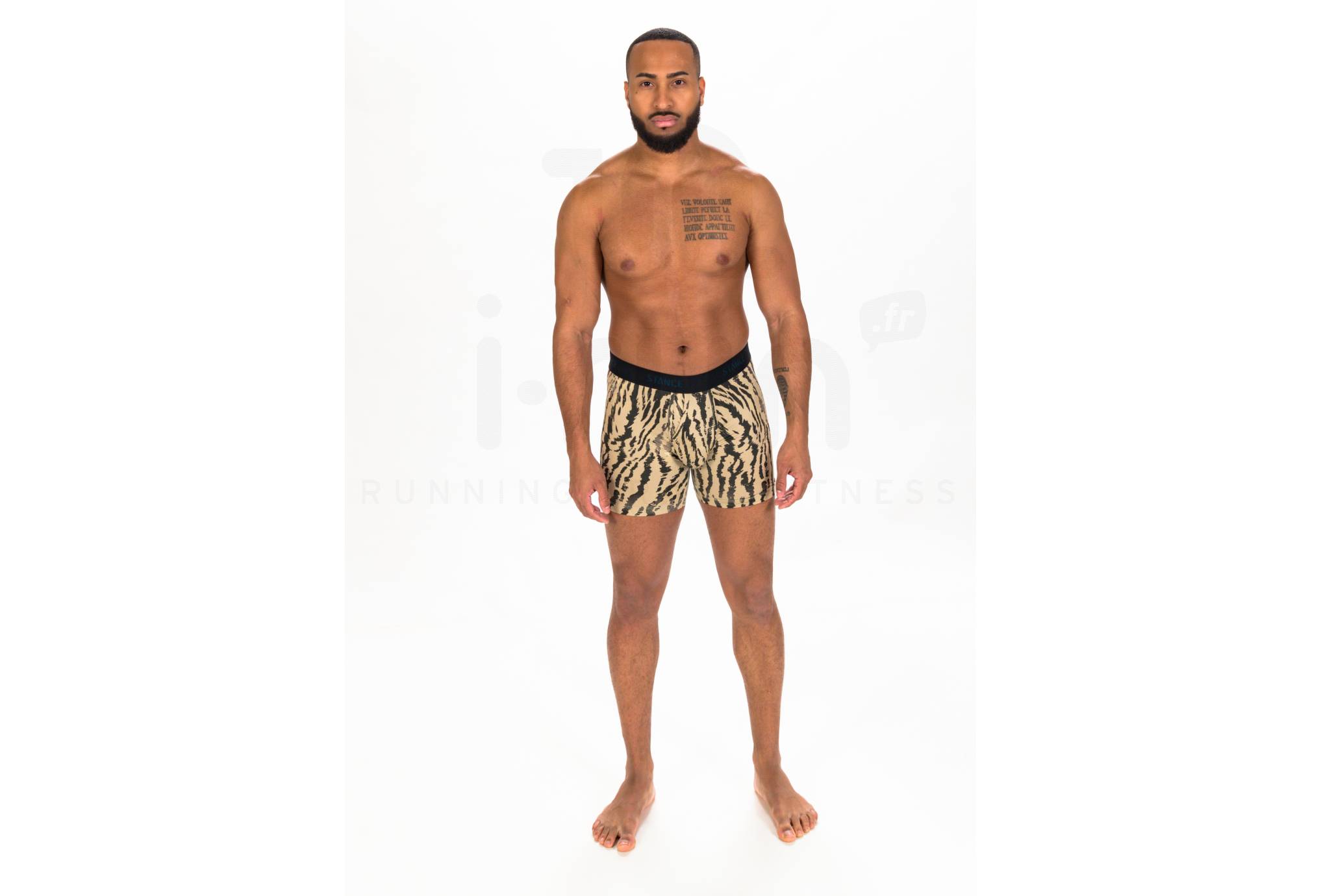 Stance Rawr Wholester Boxer Brief Herren