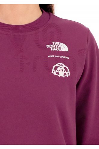 The North Face Outdoor Graphic 