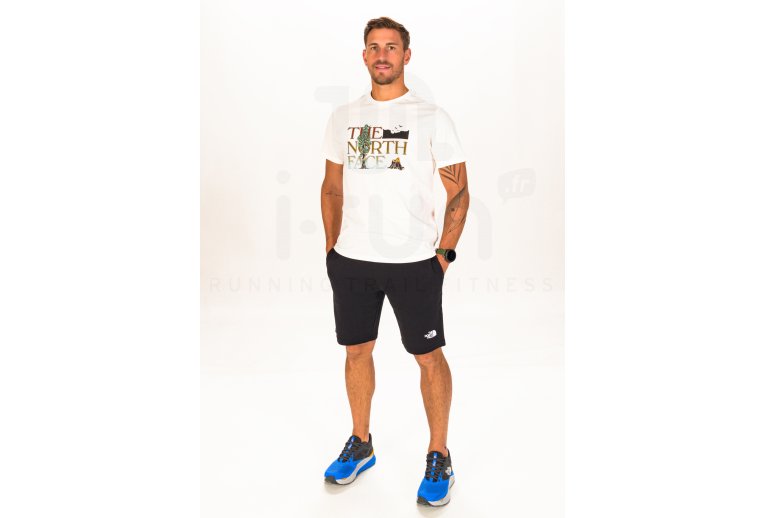 The North Face Seasonal Graphic Herren