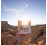 Voyager Lentejas con jam�n y verduritas