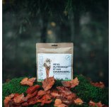 Voyager Pasta with cheeses and mushrooms