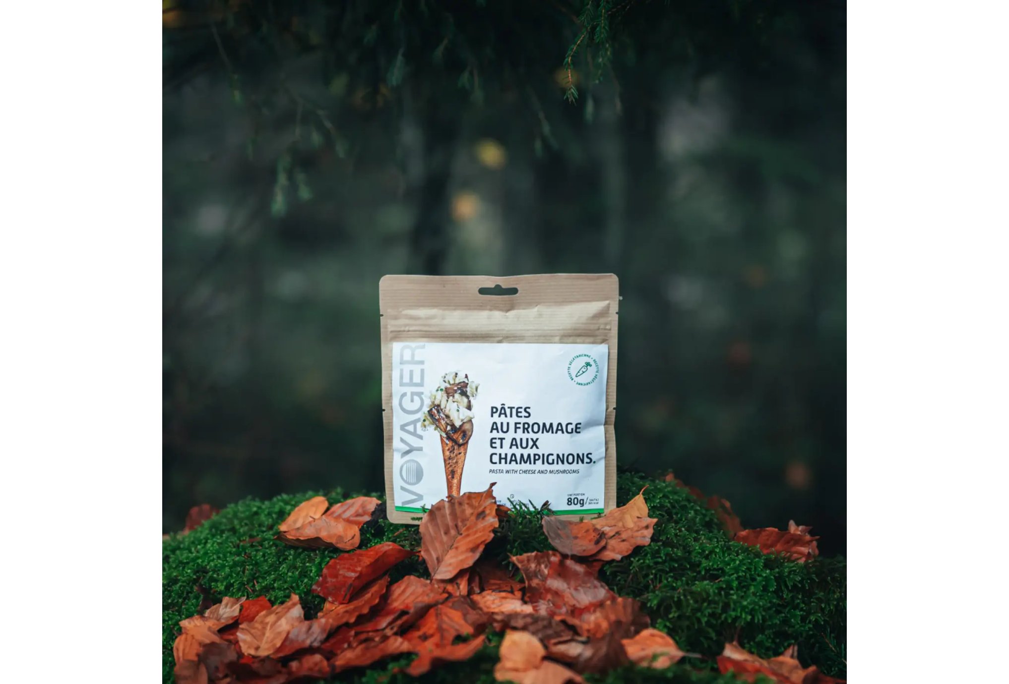 Voyager Pasta with cheeses and mushrooms