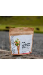 Voyager Wok de nouilles asiatiques et poulet