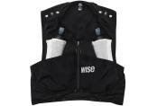 WISE 333 