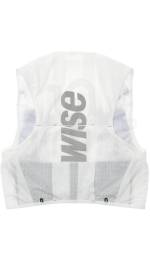 WISE 333