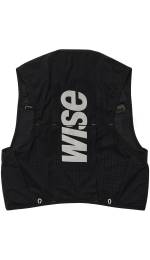 WISE 333