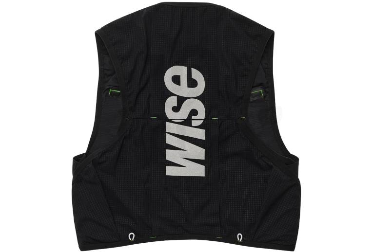 WISE 333 