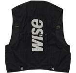 WISE 333